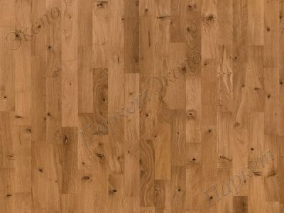 Паркетная Доска Дуб ЗЕФИР (FF OAK ZEPHYR OILED 3S) - 2